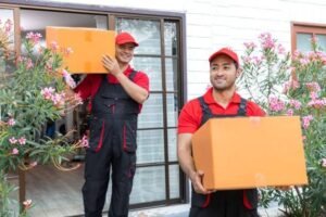12 Best Packers and Movers in Chandigarh