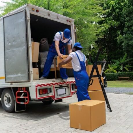 Local Shifting in Panchkula